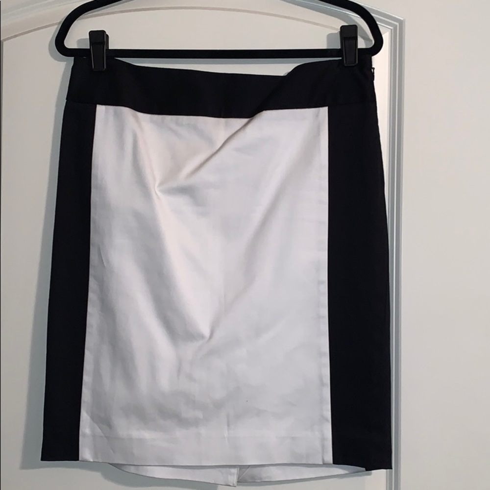 The Limited Color Block Skirt